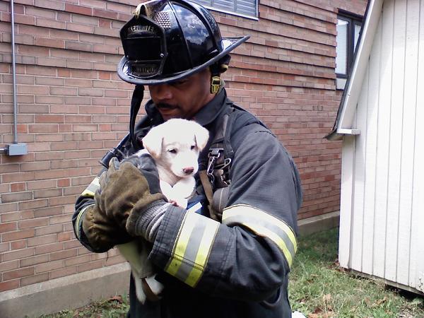 Date this exotic United States man Christopher from Indianapolis US303