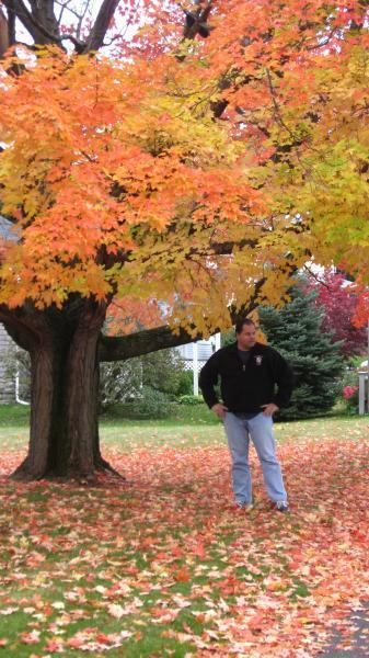 Date this foxy United States man Rick from Seattle US417