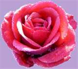 Date this georgeous Haiti girl Lucie from P-au-p HT2