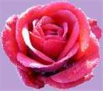 luscious Haiti girl  from P-au-p HT2