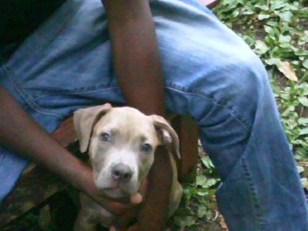 Date this sultry United States man Big from detroit US4746