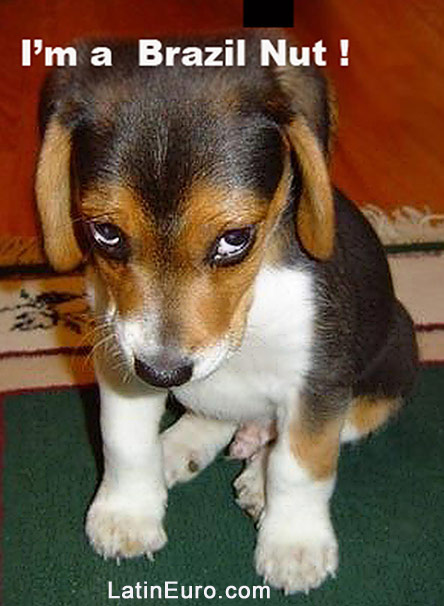 Date this gorgeous Brazil girl BR5122 from  BR5122