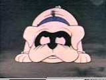 Date this foxy United States man JustVisiting from Omaha US5570