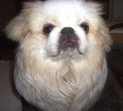 Date this athletic United States man Hybrid69 from Nowhere US5629