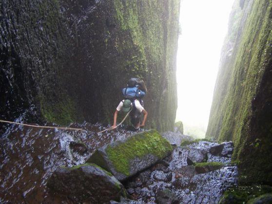 Date this funny United States man Rolling_roc from Burke US5643