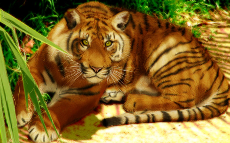 Date this charming United States man Vinland999 from Elgin US5720