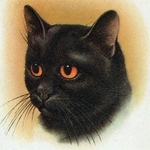 attractive United States man  from Los Angeles US6727