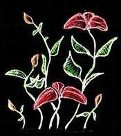 Date this hard body United States girl Grace from New York City US6994