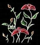 stunning United States girl Grace from New York City US6994