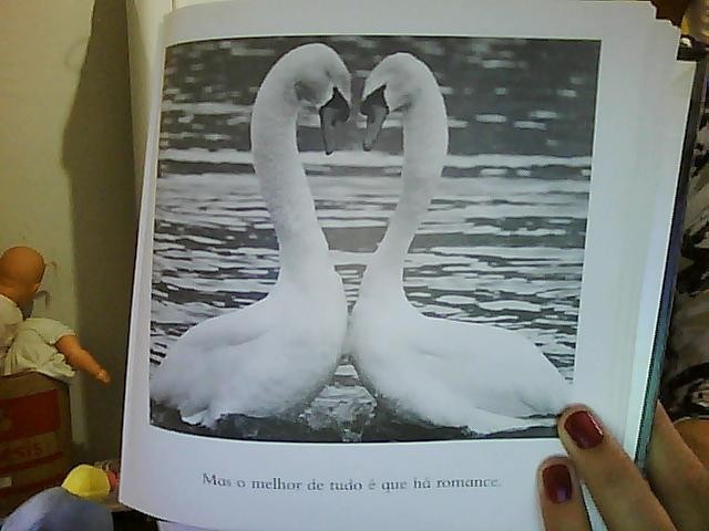 Date this stunning Brazil girl Carlanara from Caldas Novas BR3641