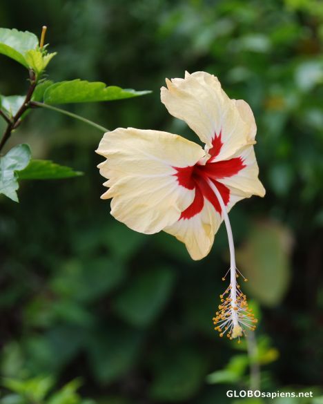 Date this pretty United States man Vincent from Brooklyn US7757