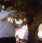 tall Mexico man  from Groningen NL138