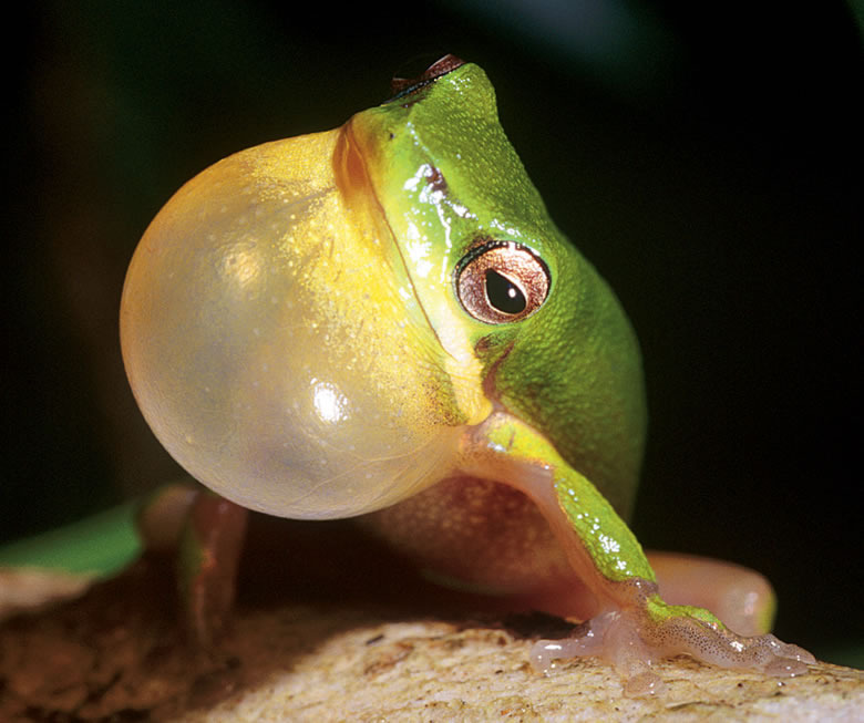 Date this delightful United States man Diggemsmack from Newyork US10488