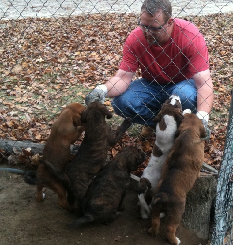 Date this gorgeous United States man Rikard1969 from Columbia US10973