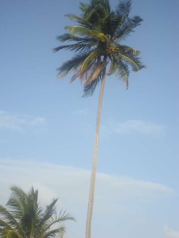 Date this charming United States man Leocastro from Boston US11556