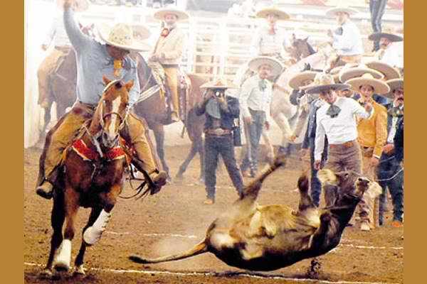 Date this voluptuous United States man Rachet89 from Sacramento US12186