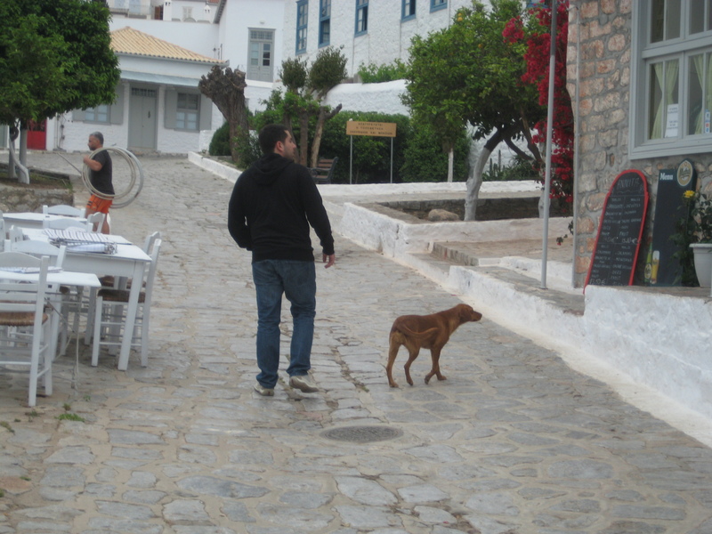 Date this athletic Greece man Guessman from Athens GR39