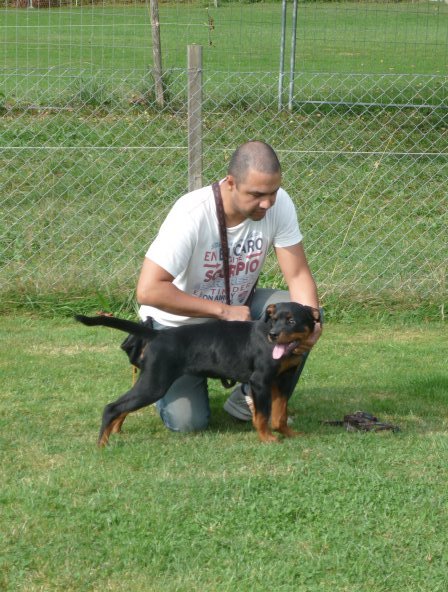 Date this lovely Switzerland man Kurt from Zurich CH101