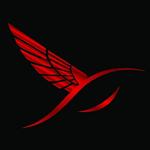 hard body United States man  from Houston US13021