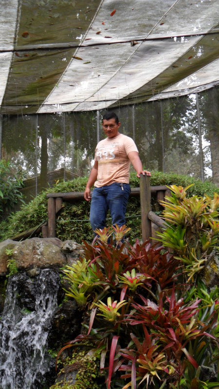 Date this attractive Colombia man Julio sanchez from Cali CO14383