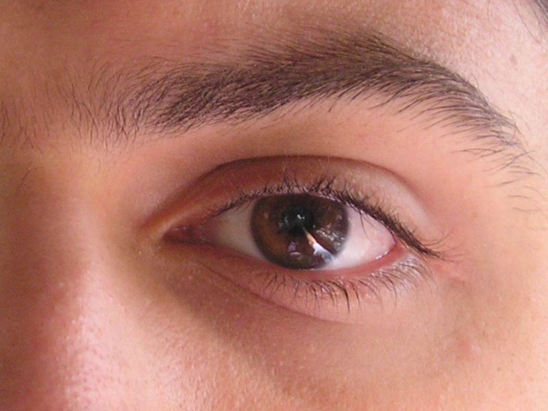 Date this charming United States man Eduardo81 from New York US15000