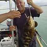 attractive United States man Dana from Reno US17682