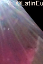 Date this gorgeous Colombia girl Kari from Santa Marta CO23636