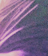 Date this fun Argentina girl Ayelen from Buenos Aires AR195